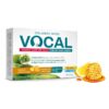 VOCAL sucking lozenges with lemon and honey flavor N24