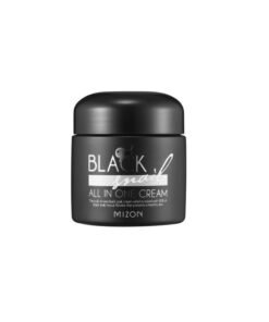 MIZON BLACK SNAIL KÕIK ÜHES ​​kreem 75 ml